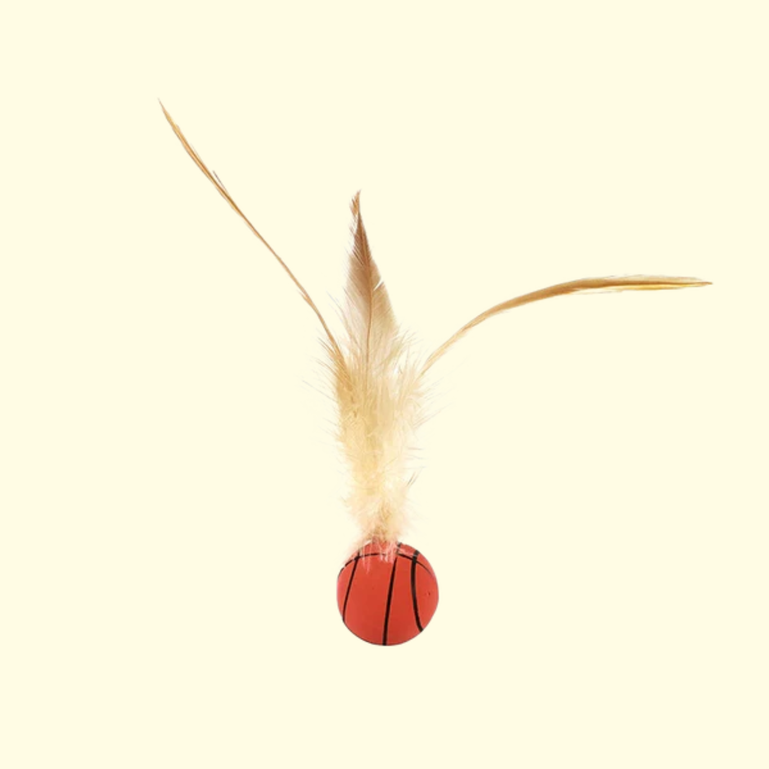 Bouncy Feather Ball
