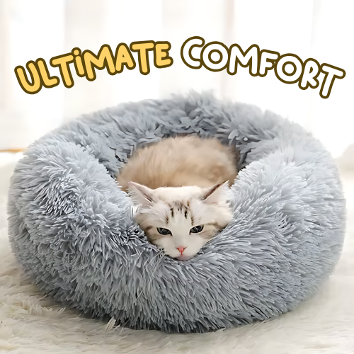 Cloud Bed