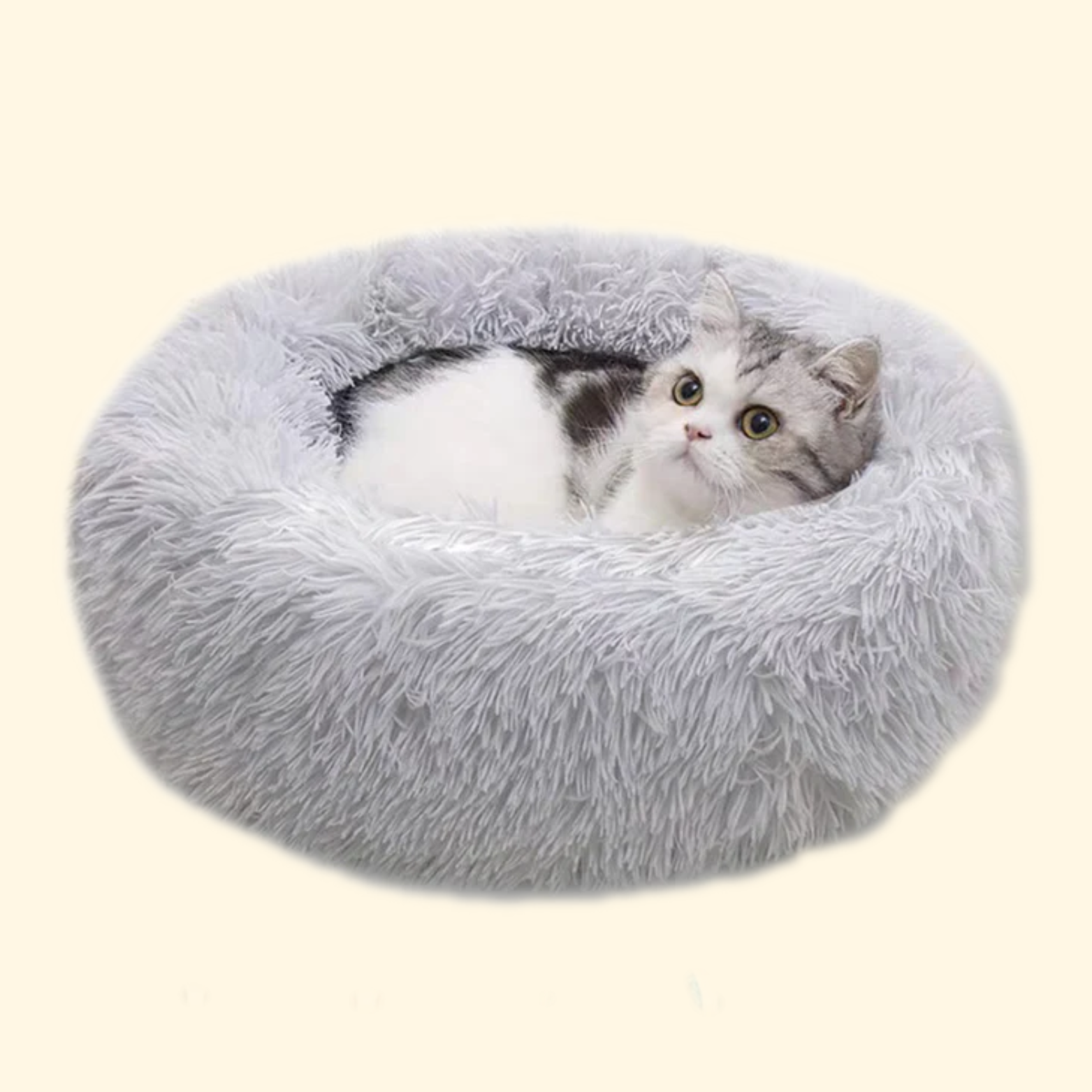 Cloud Bed