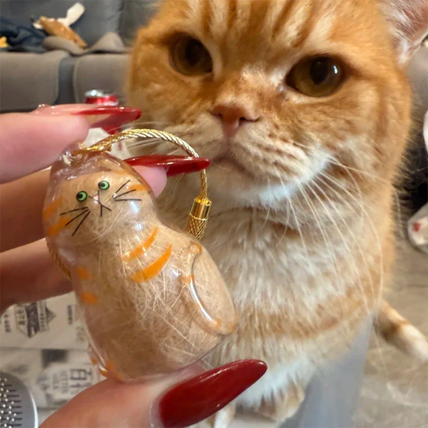 Cat Memory Capsule