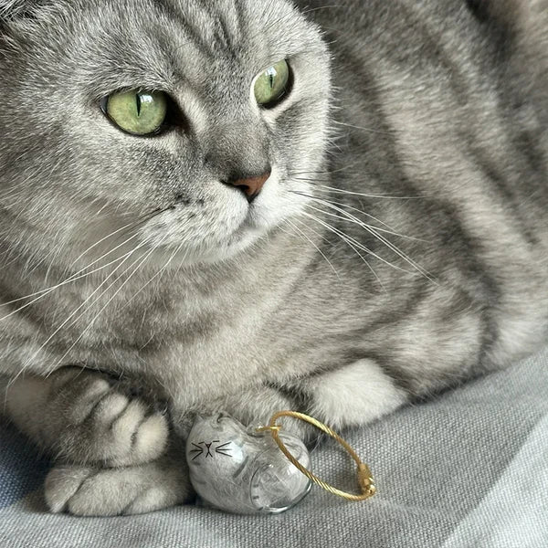 Cat Memory Capsule