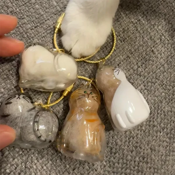 Cat Memory Capsule