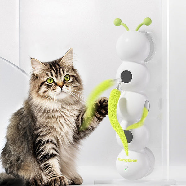 Caterpillar Cat Toy