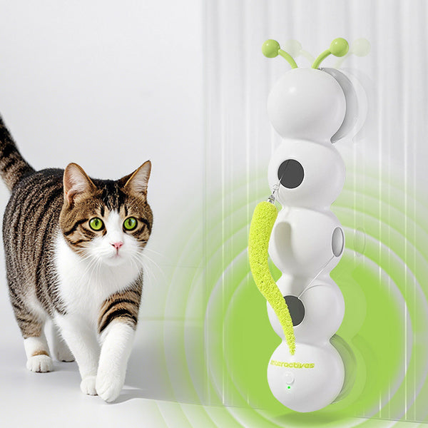 Caterpillar Cat Toy