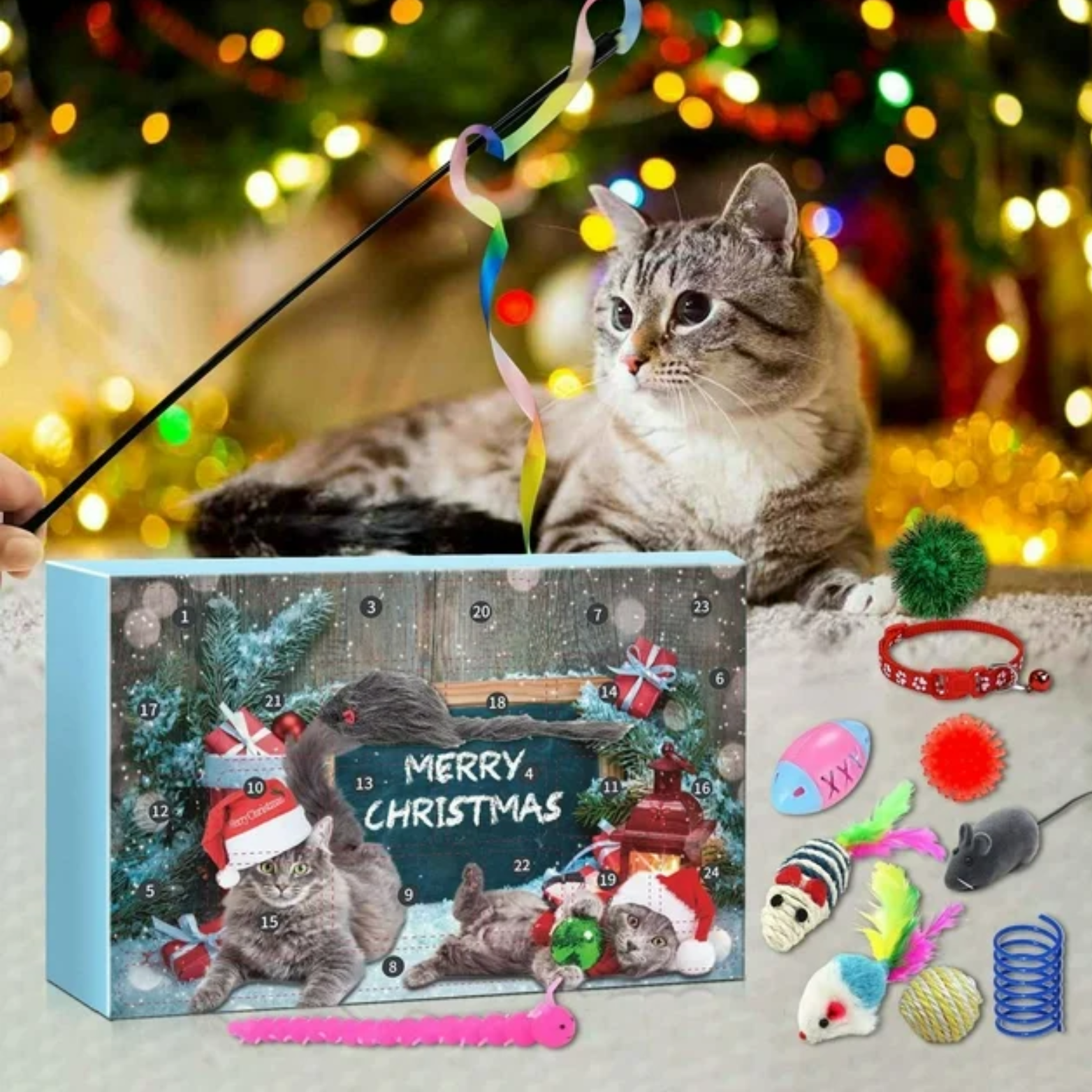 Calendario dei gatti di Natale