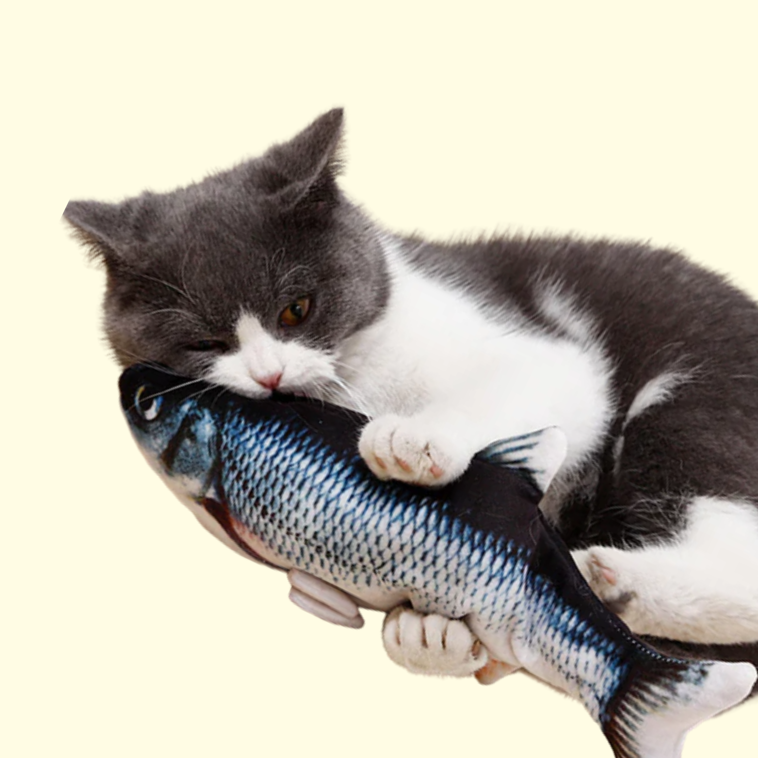 Jouet Poisson Interactif