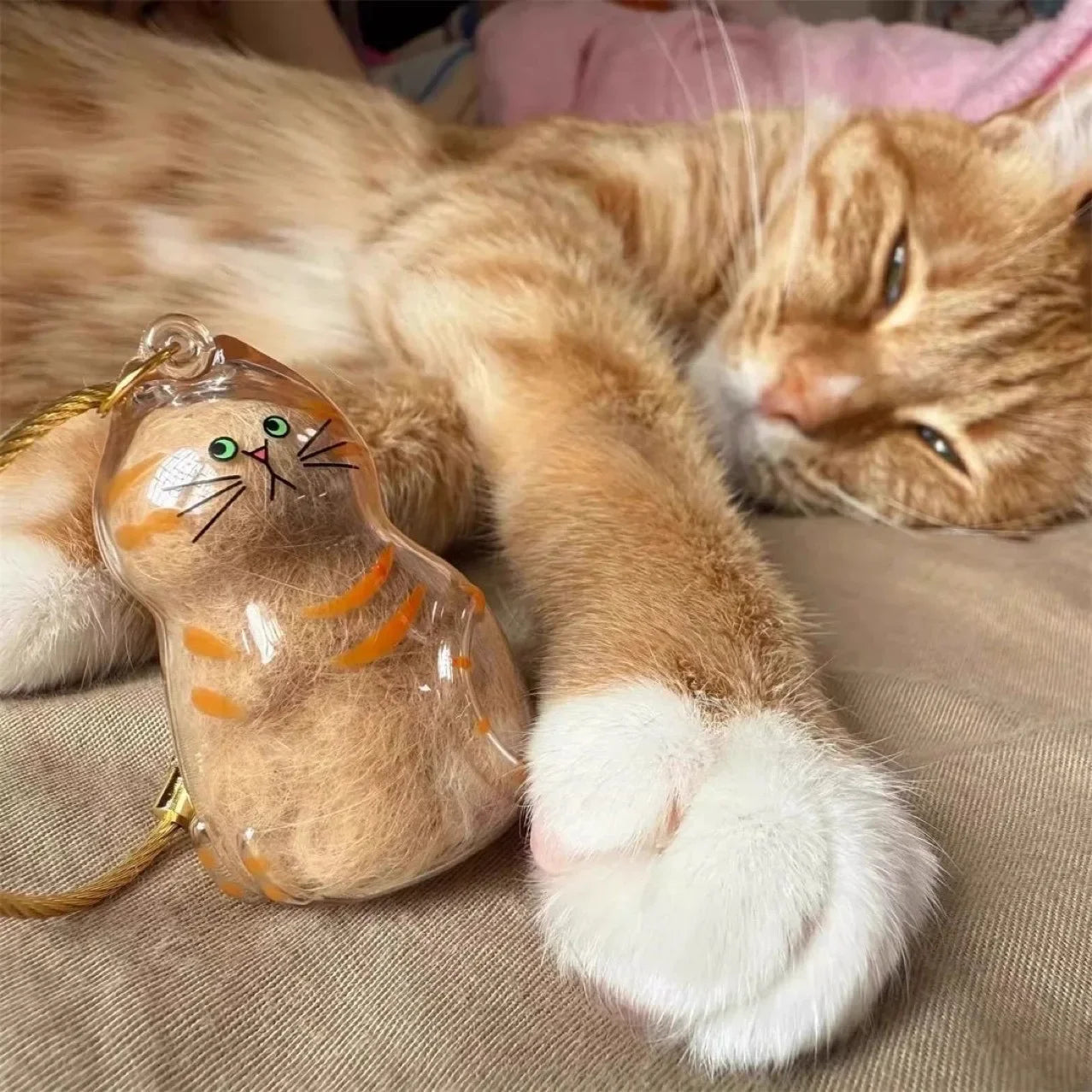Cat Memory Capsule