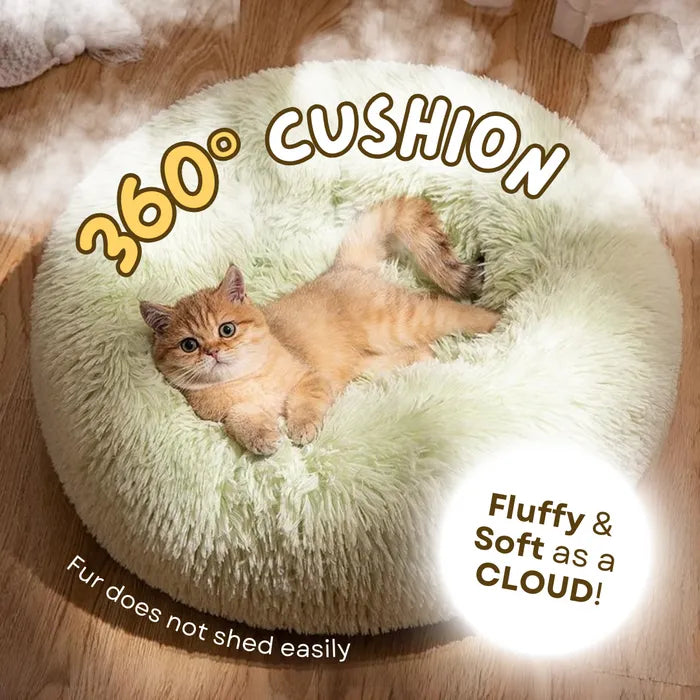 Cloud Bed