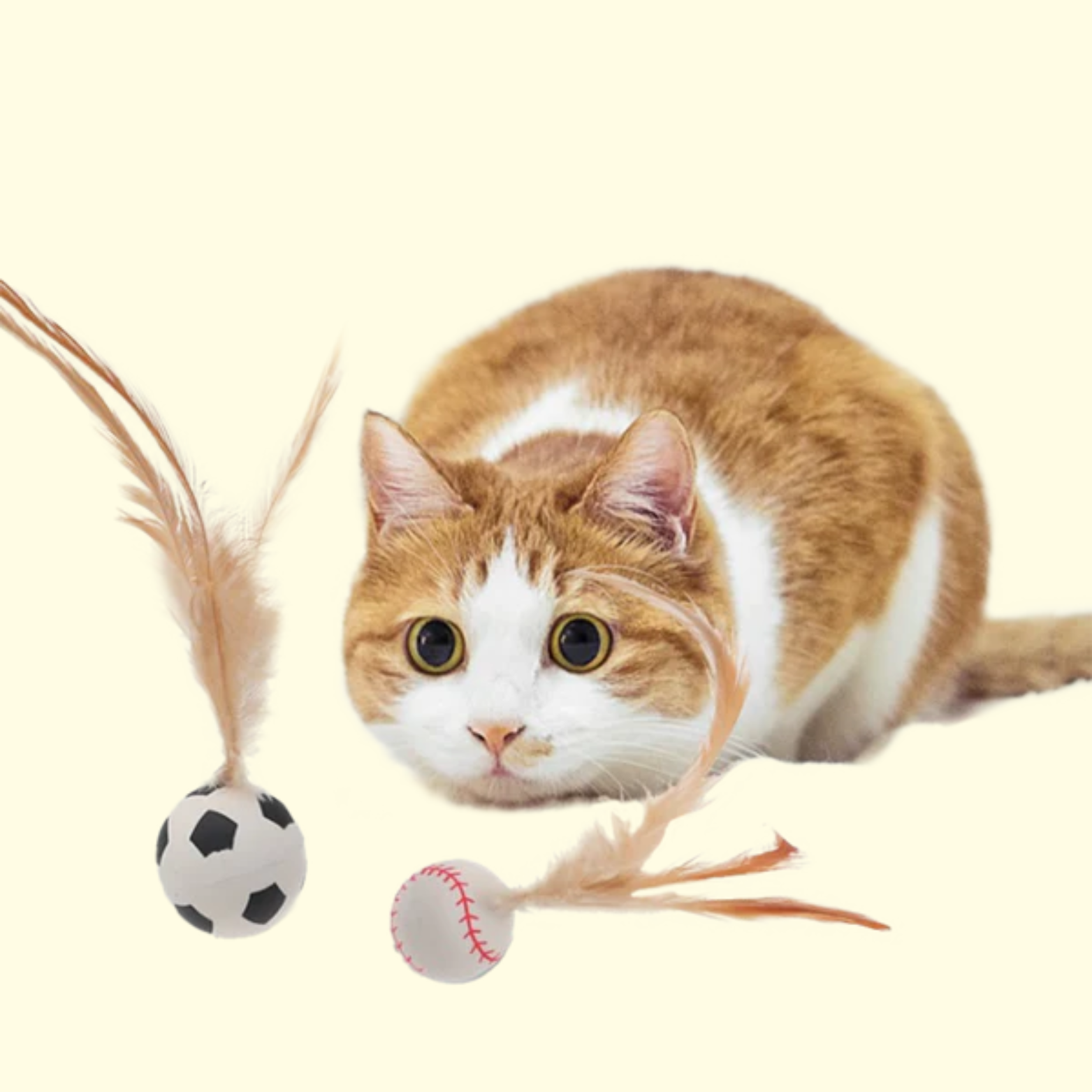 Bouncy Feather Ball