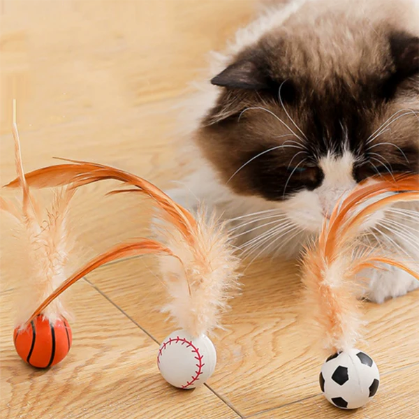 Bouncy Feather Ball