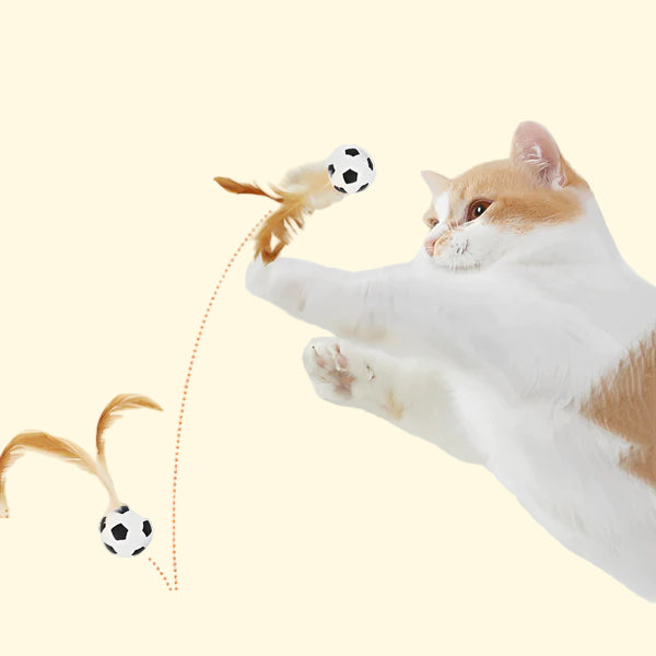Bouncy Feather Ball