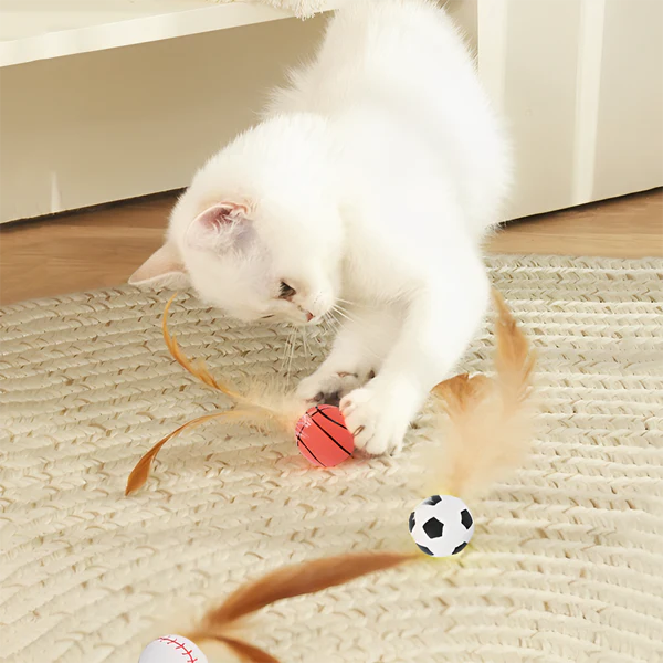 Bouncy Feather Ball