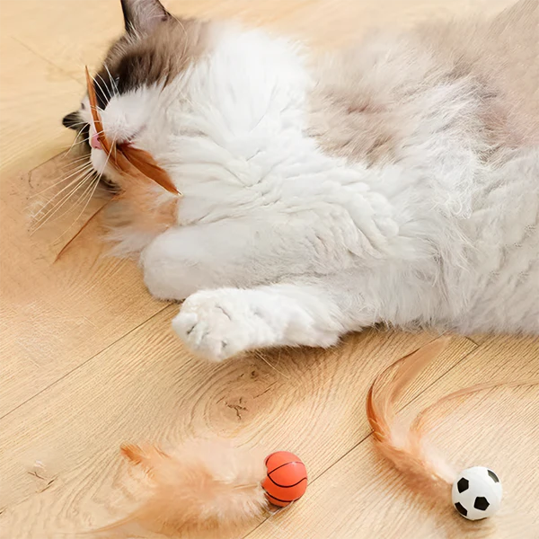Bouncy Feather Ball