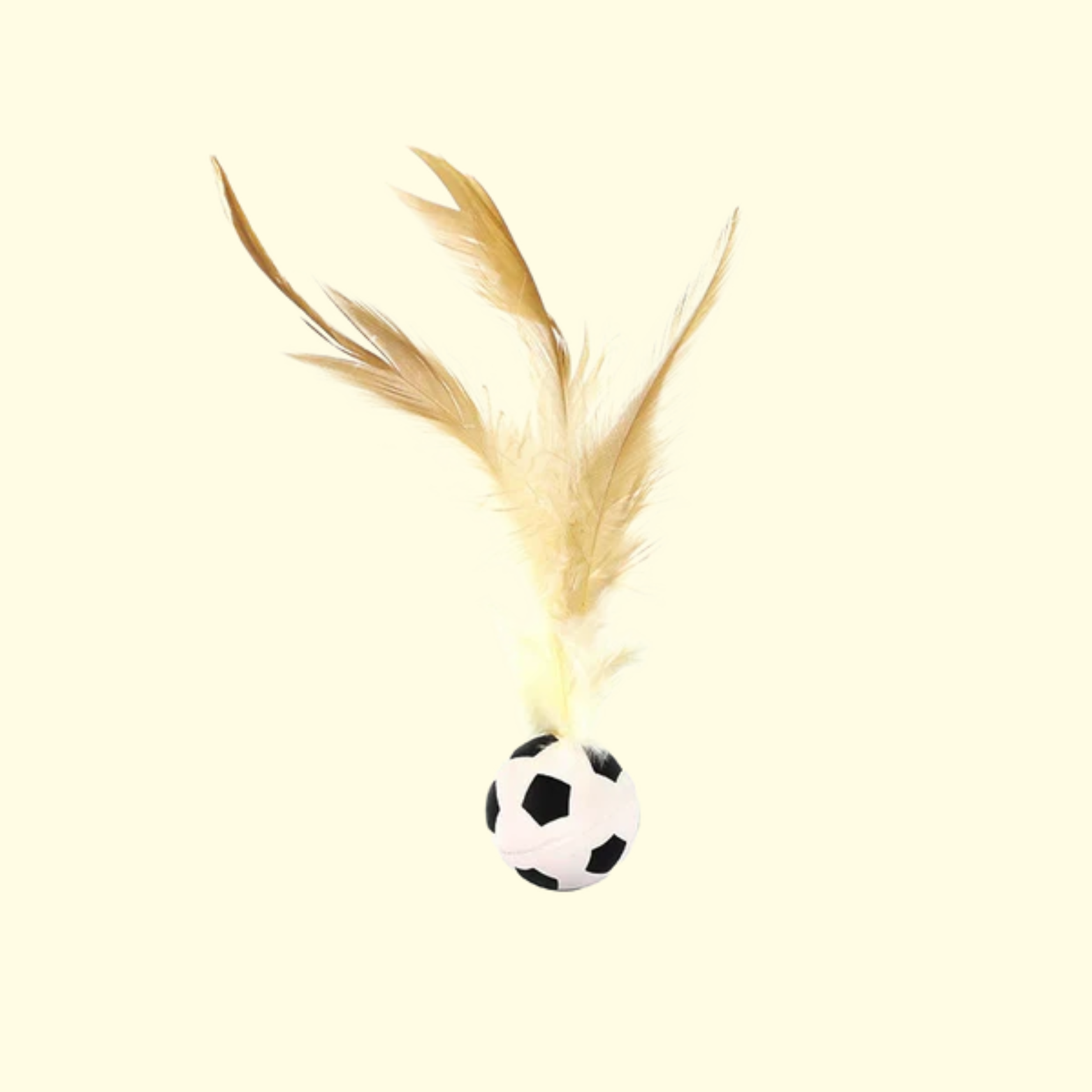 Bouncy Feather Ball