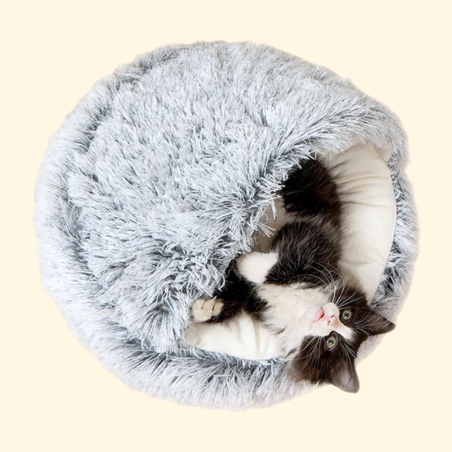 Gemütliches Muschelbett
