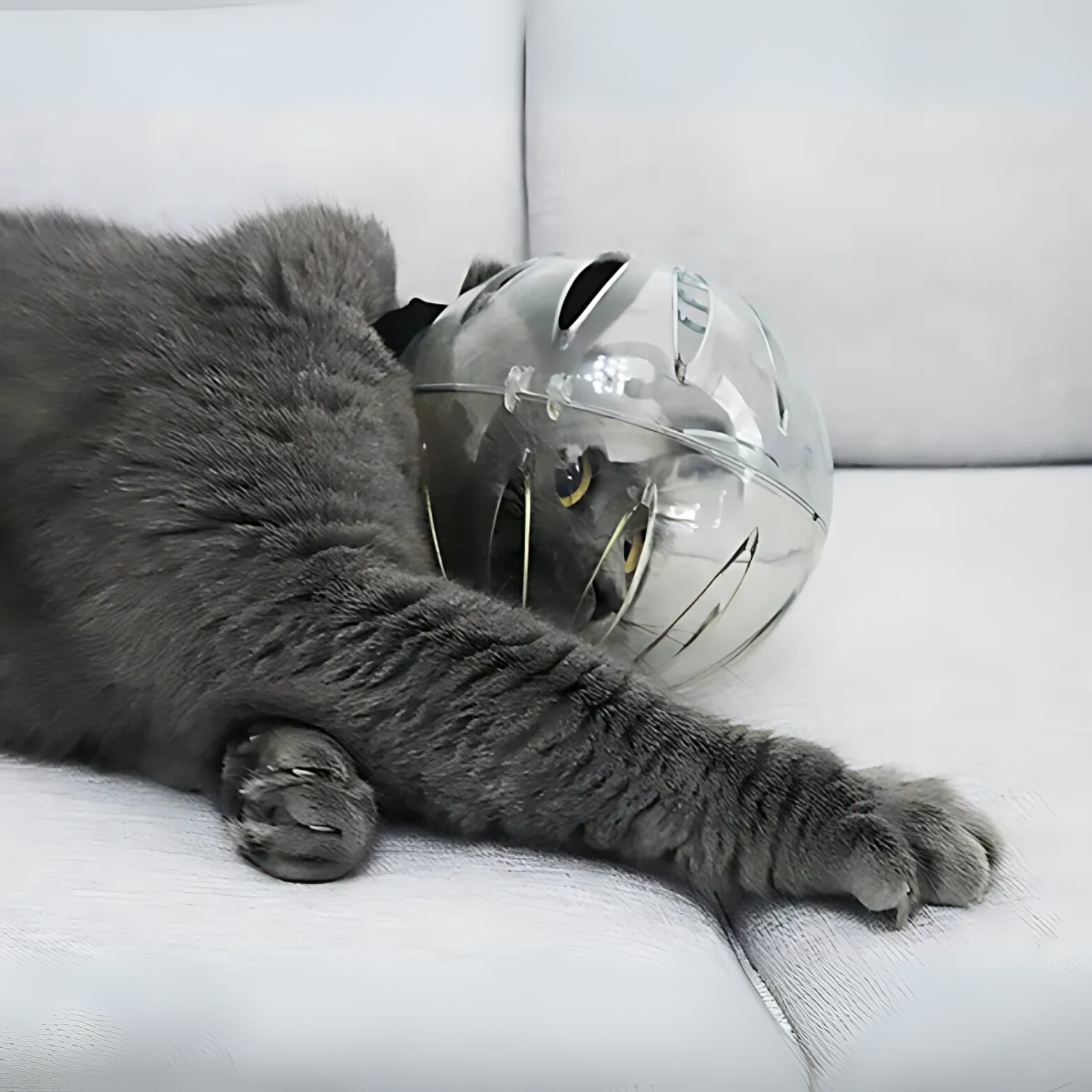 Cat Astronaut Muzzle