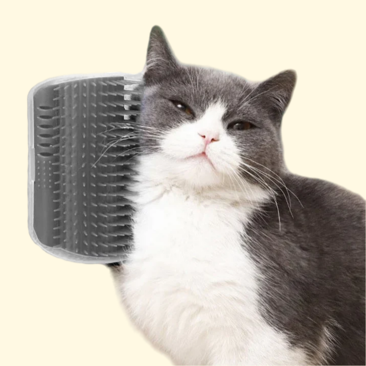 Cat Grooming Corner