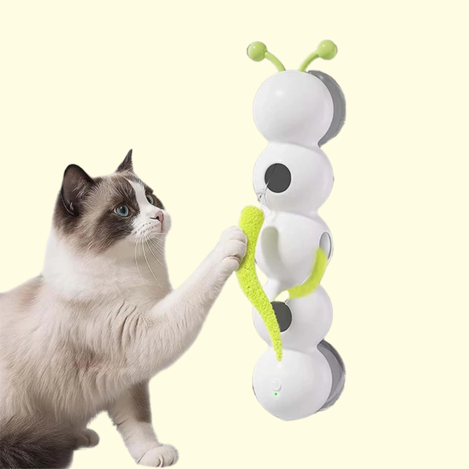 Caterpillar Cat Toy