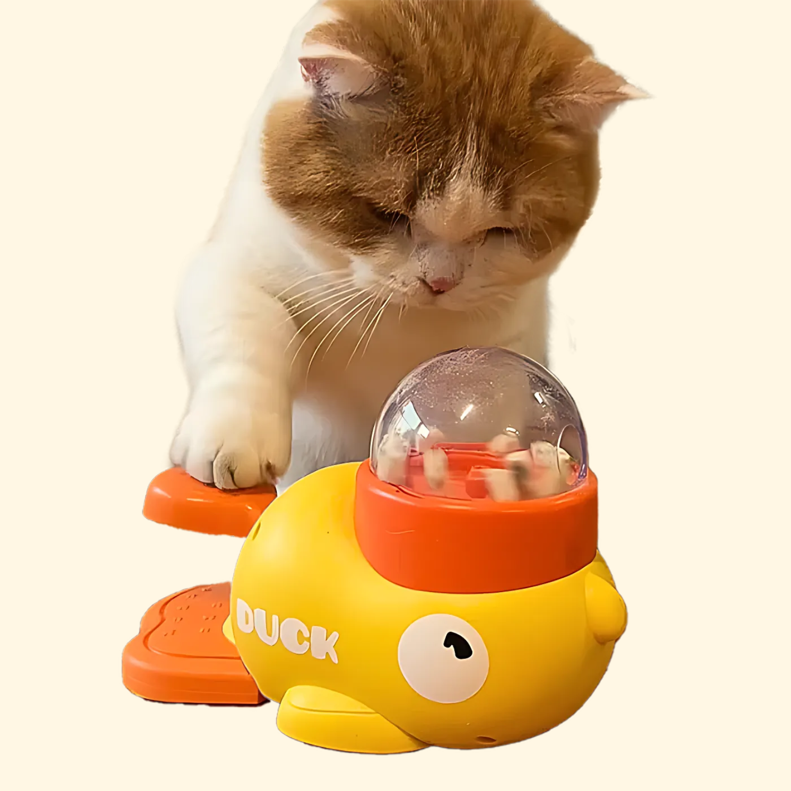 Entenfütterung Spielzeug
