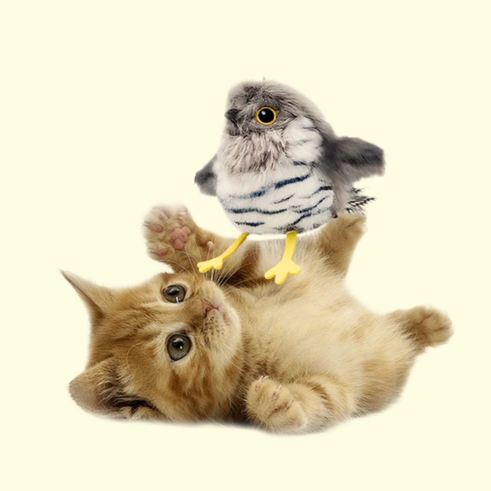 Flying Bird