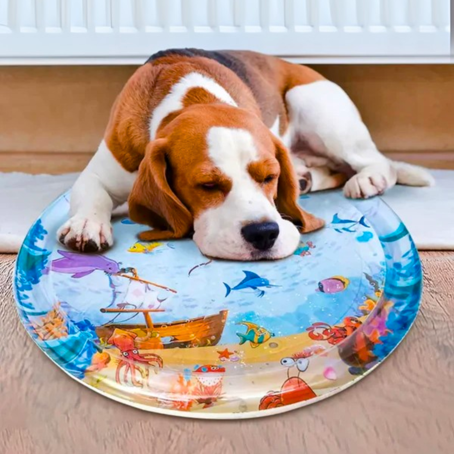 Wasserbett für Haustiere