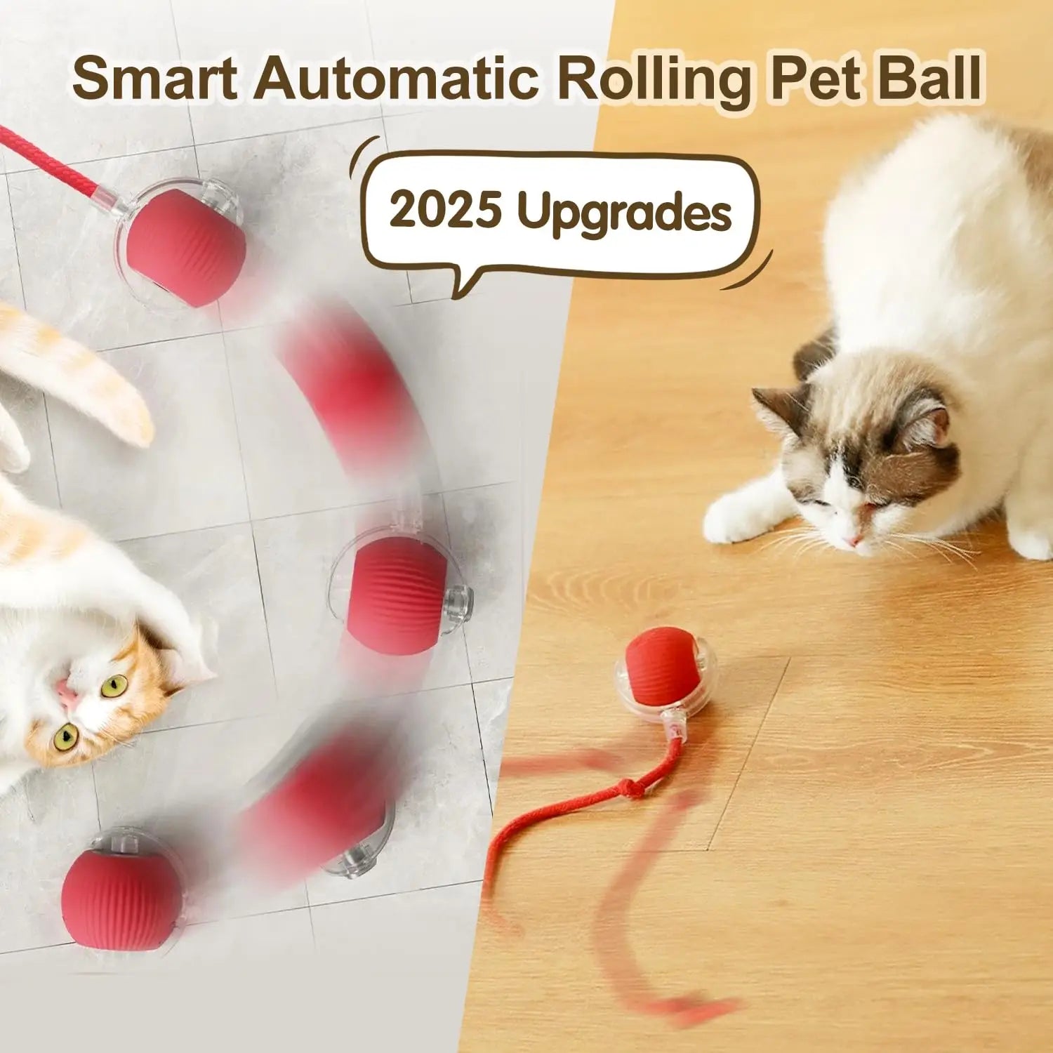 Jouet boule roulante pour chat