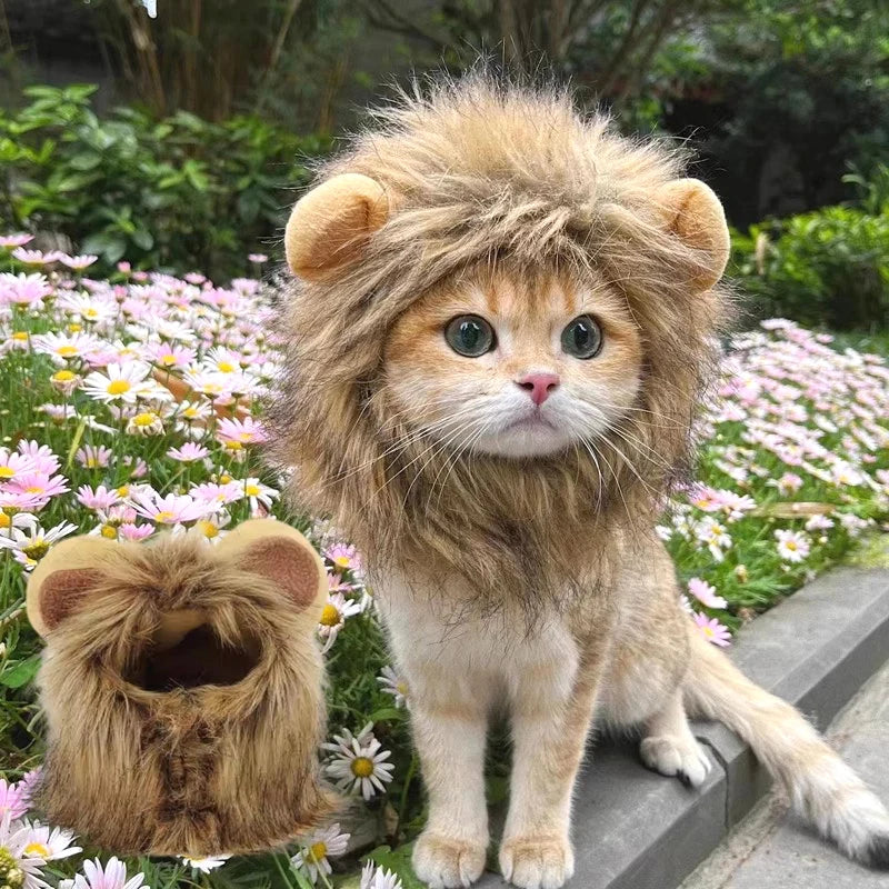 Cute Lion Cat Costume