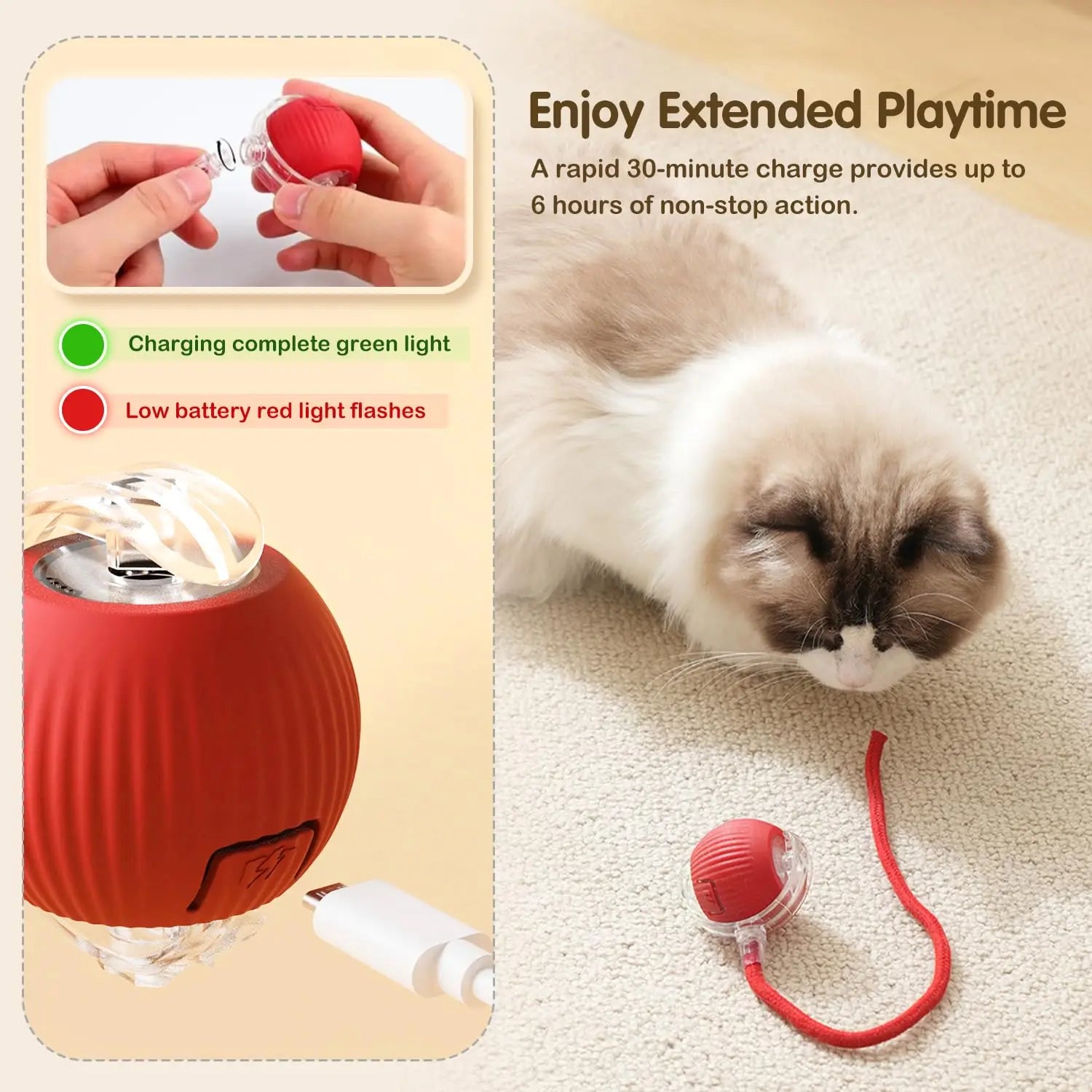 Jouet boule roulante pour chat