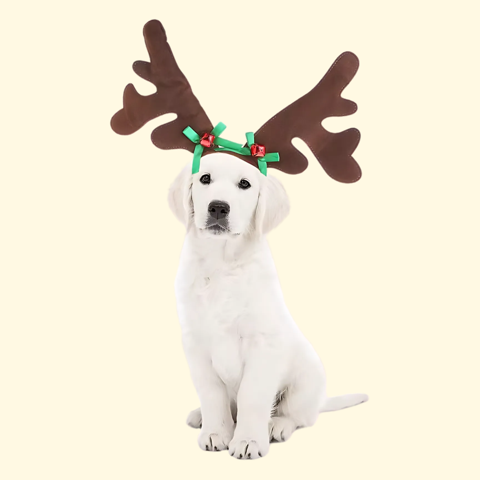 Christmas Reindeer Pet Headband