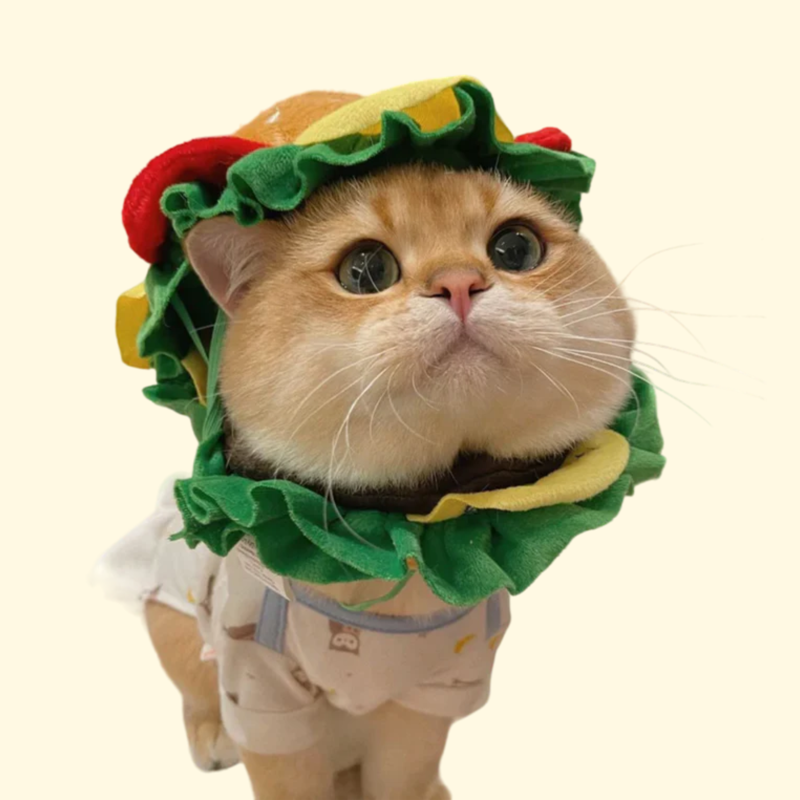 Cat Burger Cone