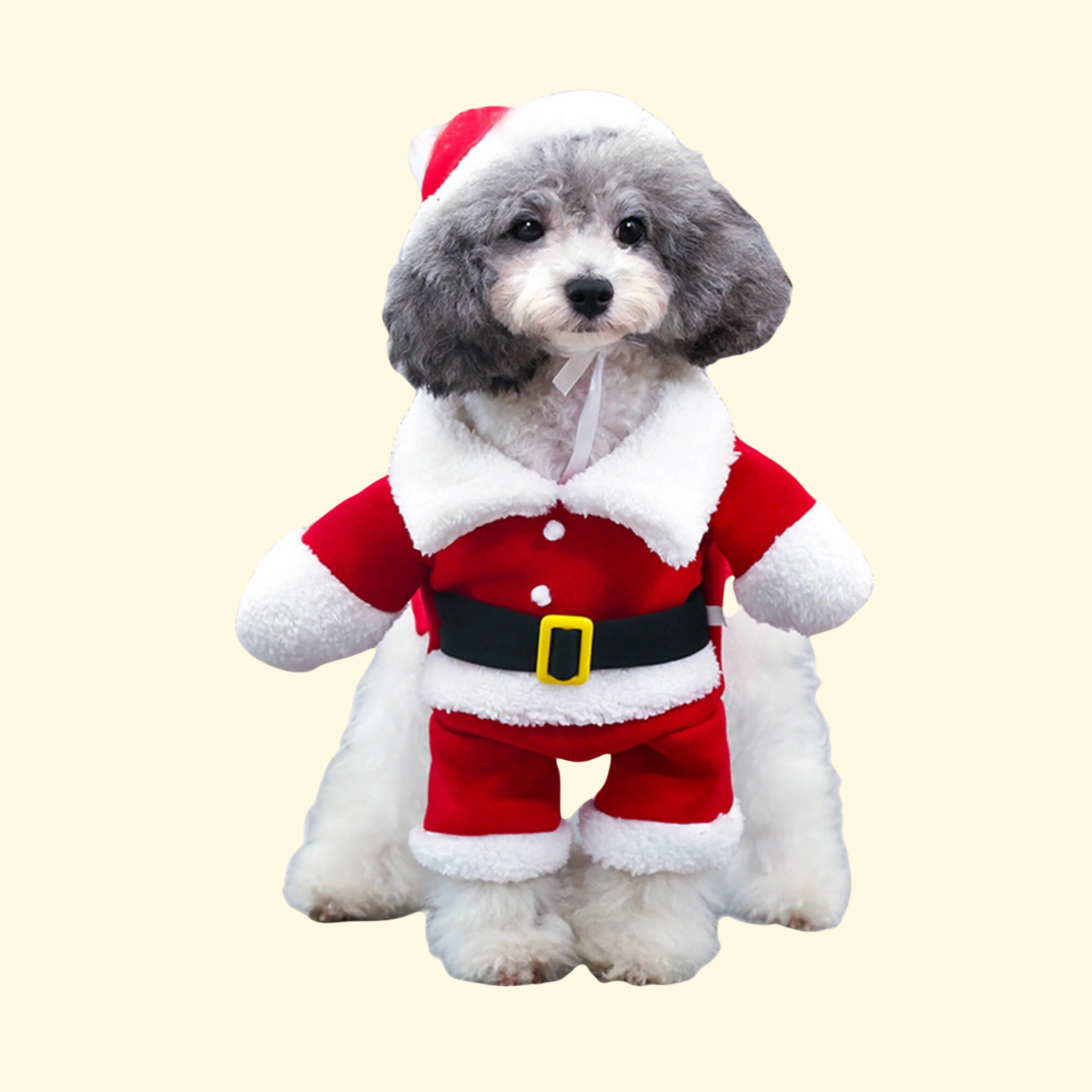 Christmas Santa Pet Costume