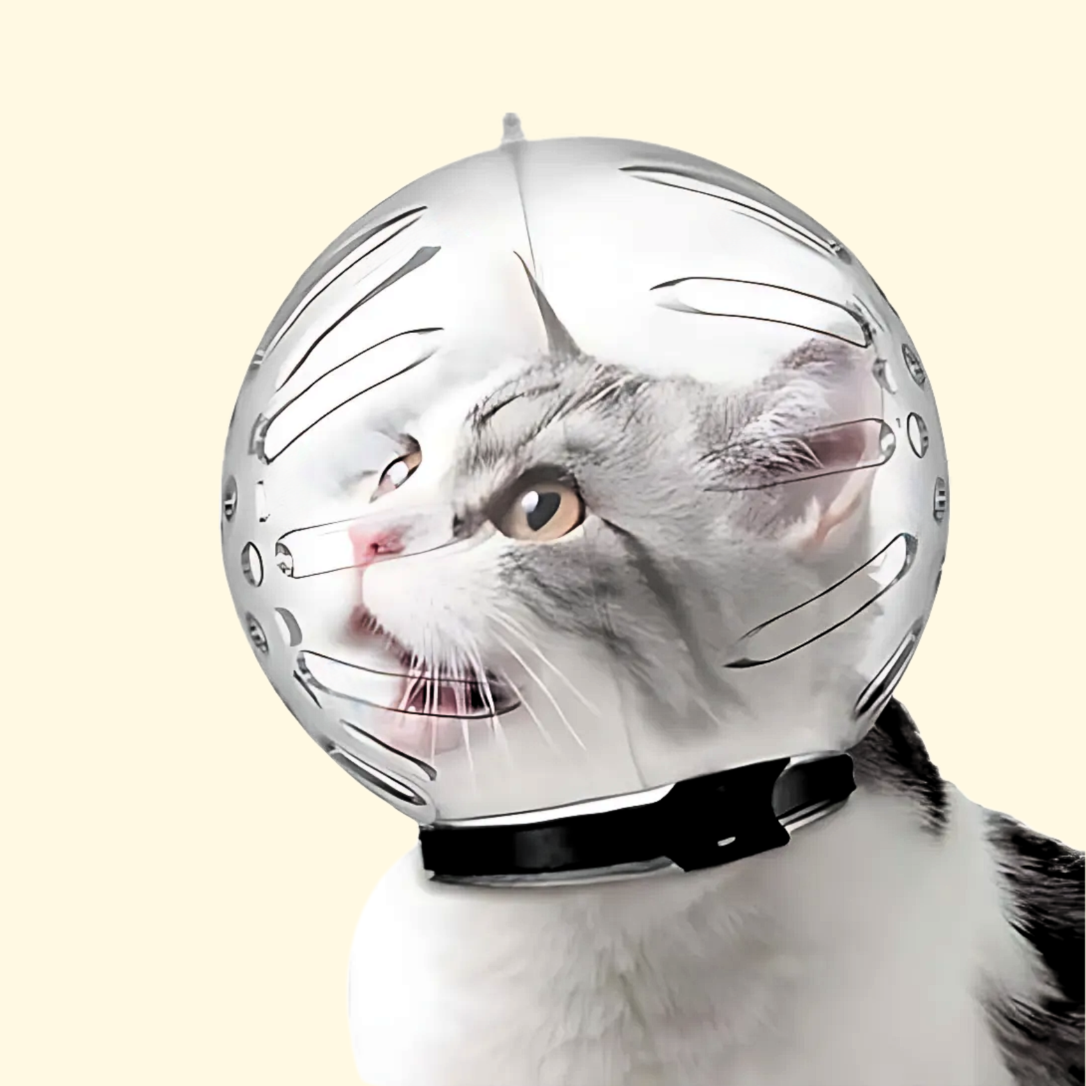 Cat Astronaut Muzzle