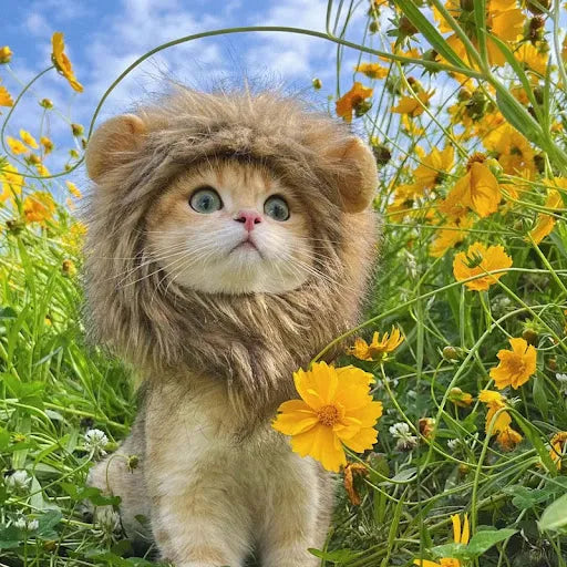 Cute Lion Cat Costume