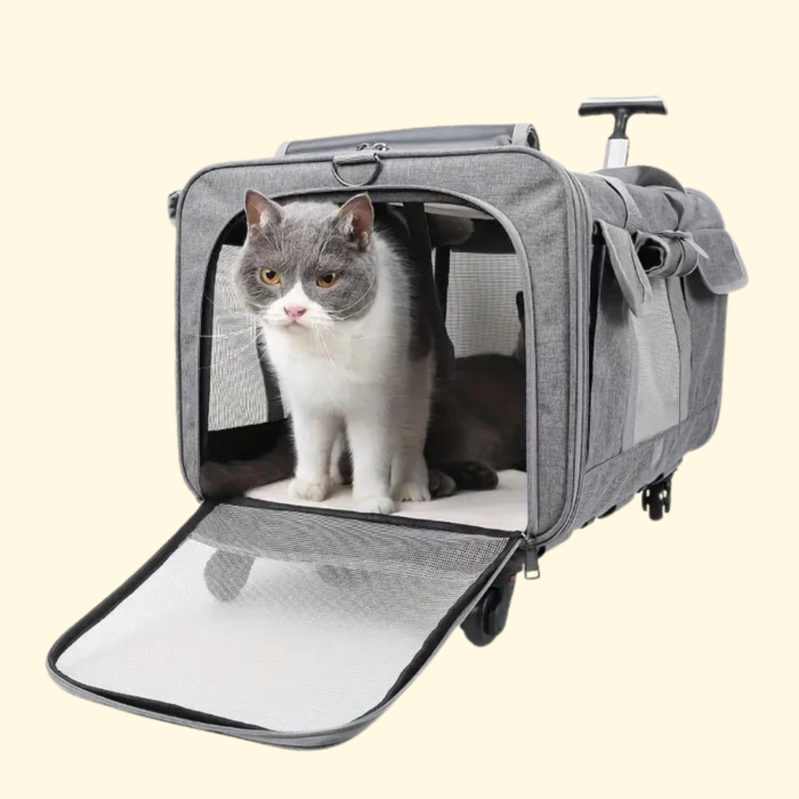 Cat Luggage