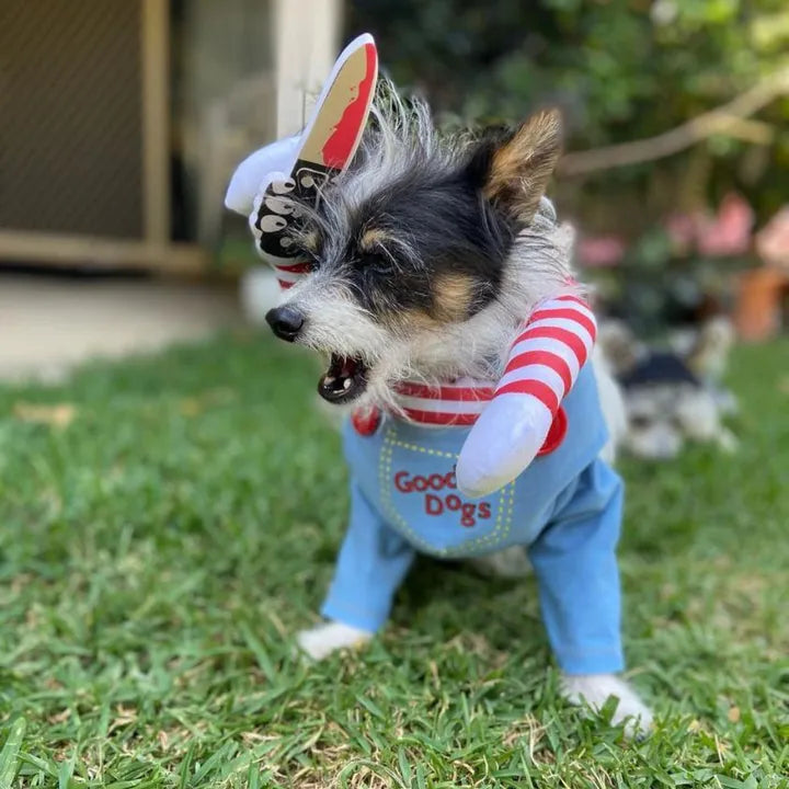 Chucky Pet Costume