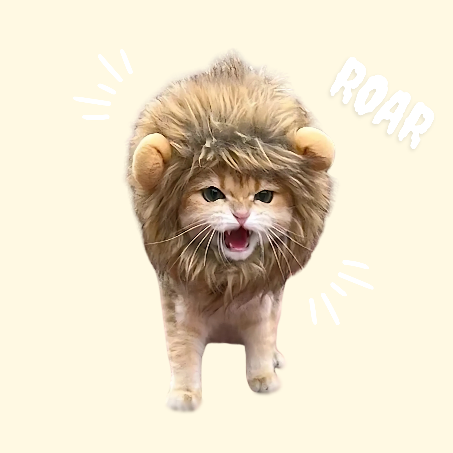 Cute Lion Cat Costume